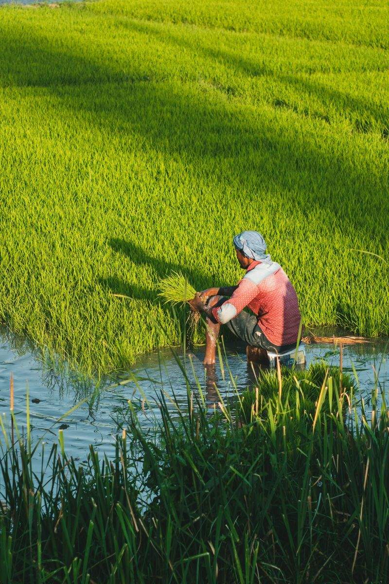 AgroSierra del Mediterráneo 12