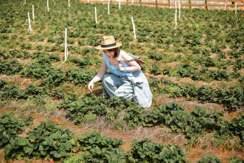AgroSierra del Mediterráneo 13