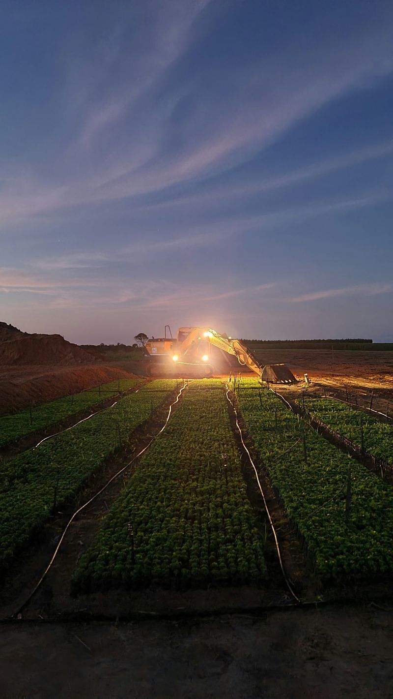 AgroSierra del Mediterráneo 14