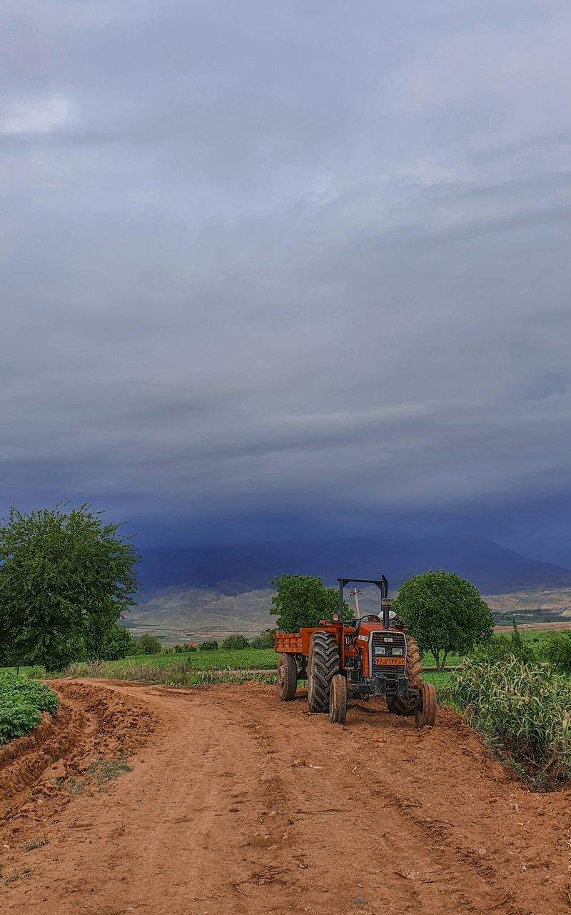AgroSierra del Mediterráneo 15