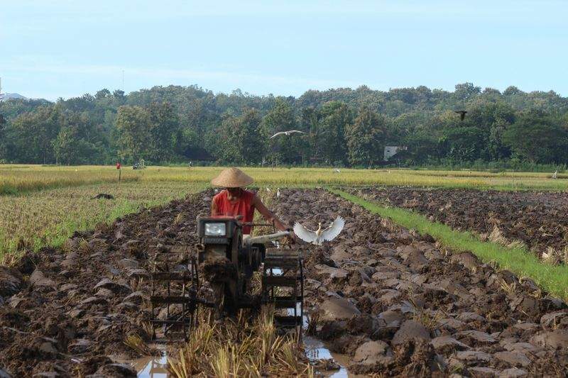 AgroSierra del Mediterráneo 2