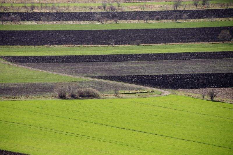 AgroSierra del Mediterráneo 4