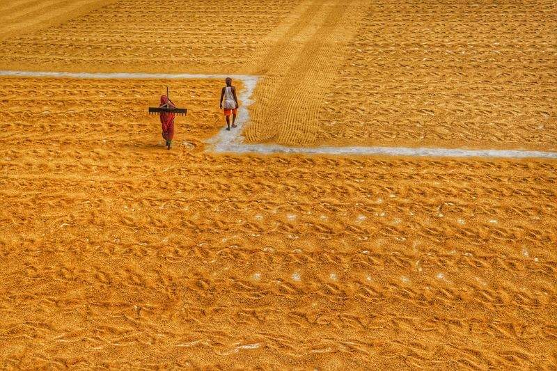 AgroSierra del Mediterráneo 5
