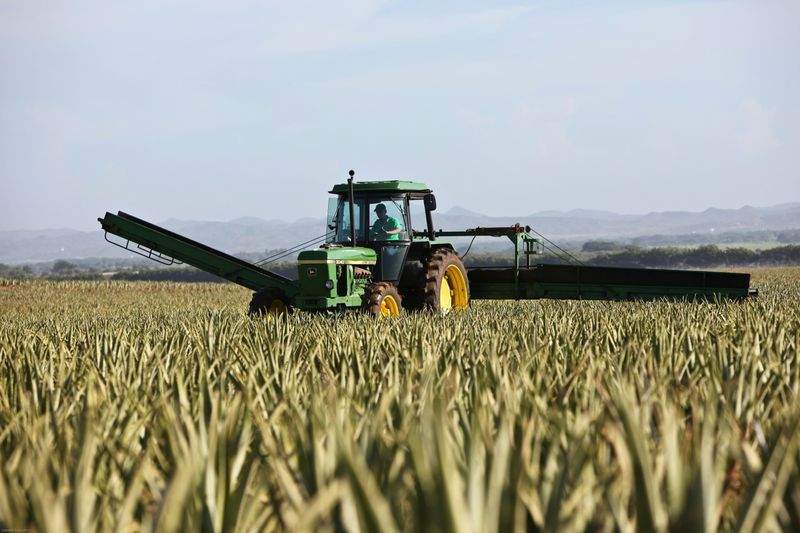 AgroSierra del Mediterráneo