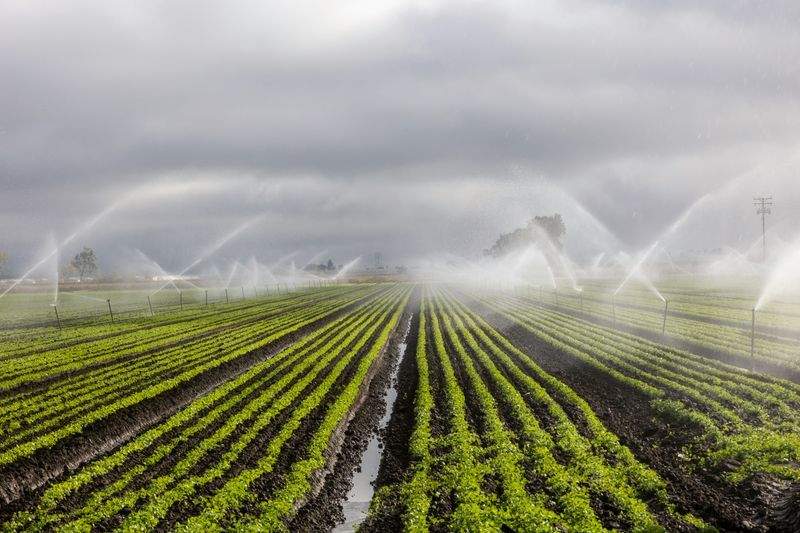 AgroSierra del Mediterráneo