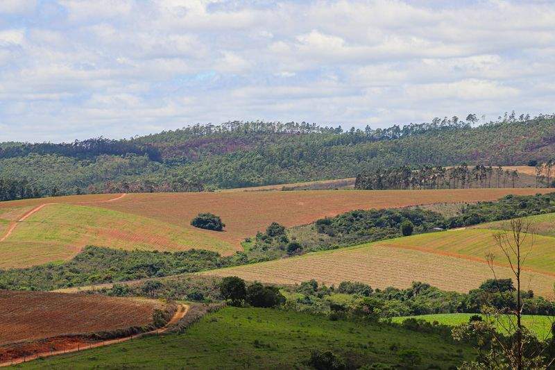 Gestión integral de explotaciones agrícolas